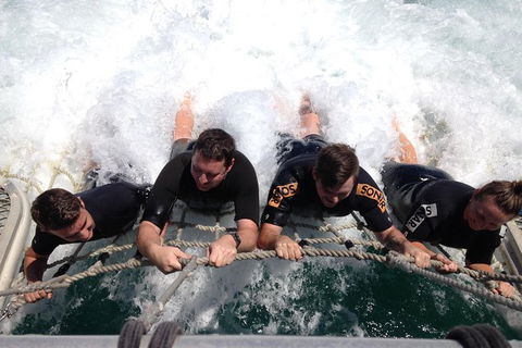 Eco Marine Safari - Boom Netting & Snorkeling Moreton Island - Fortitude Valley - New South Wales Tourism  10