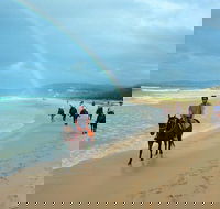 Rainbow Beach Horse Ride - New South Wales Tourism 