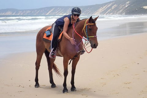 Rainbow Beach Horse Ride - New South Wales Tourism  2