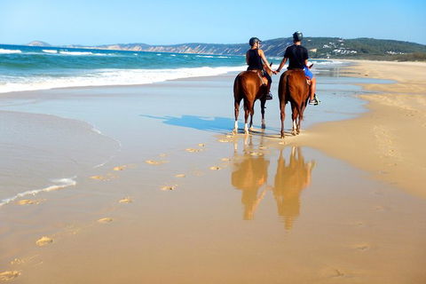 Rainbow Beach Horse Ride - New South Wales Tourism  3