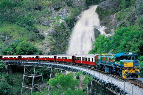 Small-Group Kuranda Village, Skyrail Cableway And Scenic Railway Day Trip From Port Douglas - New South Wales Tourism  1
