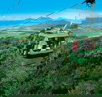 Small-Group Kuranda Village Skyrail Cableway and Scenic Railway Day Trip from Port Douglas - New South Wales Tourism 