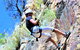 Abseiling The Kangaroo Point Cliffs In Brisbane - thumb 3
