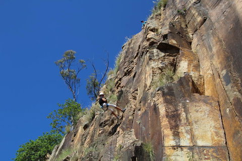 Abseiling The Kangaroo Point Cliffs In Brisbane - New South Wales Tourism  2