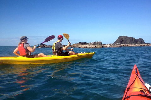 Port Douglas Half-Day Kayak Tour - New South Wales Tourism  0