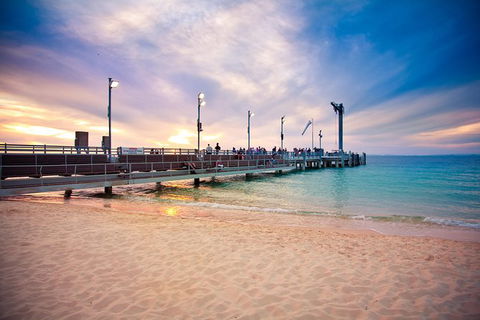 Dolphin Viewing Day Cruise To Tangalooma Island Resort On Moreton Island - New South Wales Tourism  4