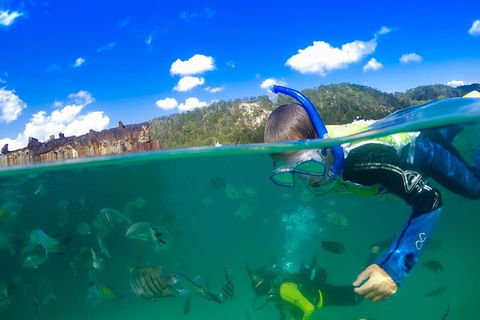 Dolphin Viewing Day Cruise To Tangalooma Island Resort On Moreton Island - New South Wales Tourism  3