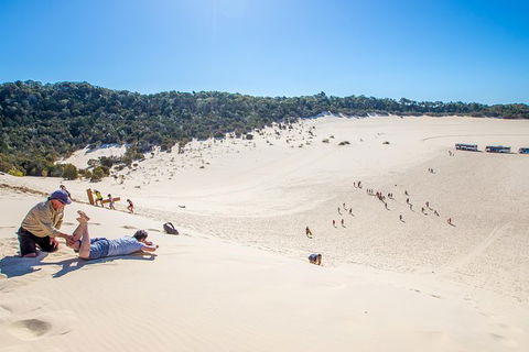 Dolphin Viewing Day Cruise To Tangalooma Island Resort On Moreton Island - New South Wales Tourism  6