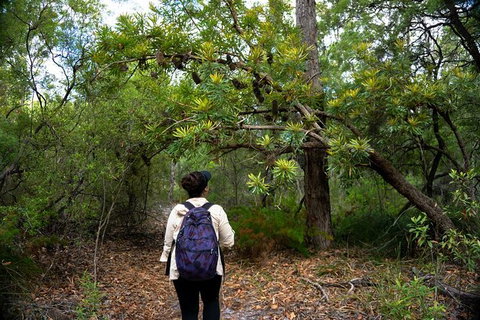 Pack-free Camping: Lake McKenzie Central Hike - 2 Days - New South Wales Tourism  1