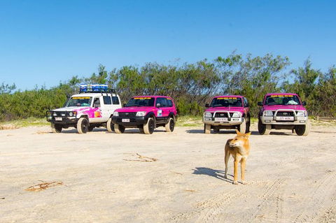 3 Day 4wd Tagalong Tour - Fraser Island - New South Wales Tourism  0