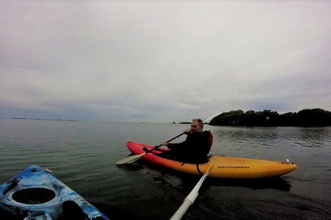 Brisbane Guided Kayaking Tour On Tingalpa Creek - New South Wales Tourism  5