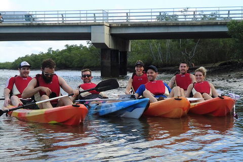 Brisbane Guided Kayaking Tour On Tingalpa Creek - New South Wales Tourism  3