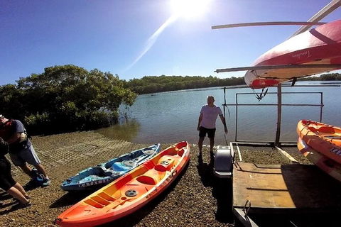 Brisbane Guided Kayaking Tour On Tingalpa Creek - New South Wales Tourism  6