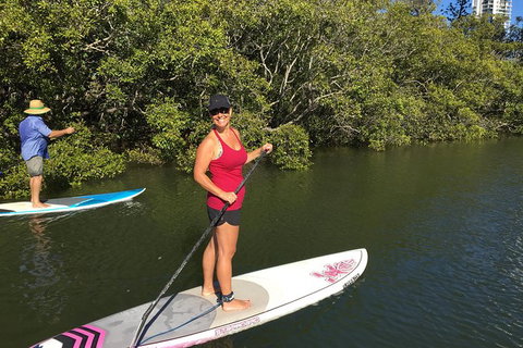 Stand Up Paddle Hire - New South Wales Tourism  1