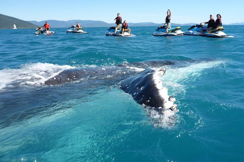 Whitsundays Jet Ski Tour - New South Wales Tourism  20