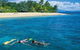 Wavedancer Low Isles Great Barrier Reef Sailing Cruise From Port Douglas - thumb 0