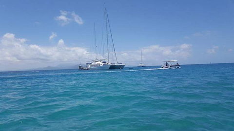 Wavedancer Low Isles Great Barrier Reef Sailing Cruise From Port Douglas - New South Wales Tourism  3