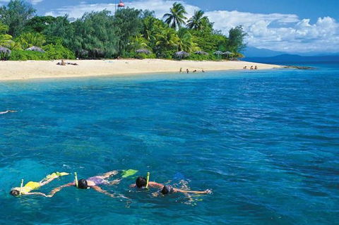 Wavedancer Low Isles Great Barrier Reef Sailing Cruise From Port Douglas - New South Wales Tourism  12