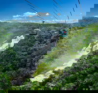 Skyrail Rainforest Cableway Day Trip from Port Douglas - New South Wales Tourism 