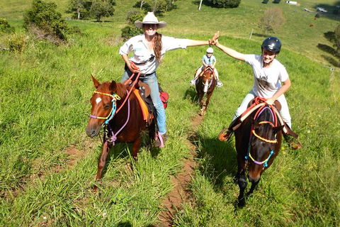 Country Day Ride From Mt Goomboorian With Rainbow Beach Horse Rides - New South Wales Tourism  0