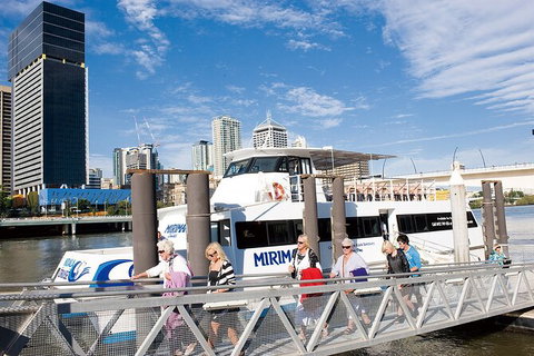 Brisbane Highlights And Lone Pine Cruise From Gold Coast - New South Wales Tourism  13