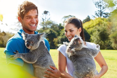 Brisbane Highlights And Lone Pine Cruise From Gold Coast - New South Wales Tourism  2