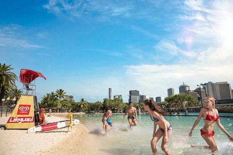 Brisbane Highlights And Lone Pine Cruise From Gold Coast - New South Wales Tourism  9