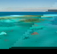 Great Barrier Reef Dive and Snorkel Cruise from Mission Beach - New South Wales Tourism 