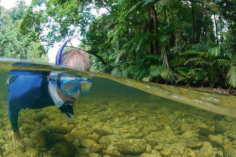 Mossman River Drift Snorkelling From Port Douglas Or Mossman - New South Wales Tourism  1