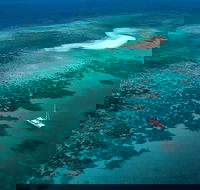 Outer Barrier Reef Sailing and Snorkeling Adventure from Port Douglas - New South Wales Tourism 