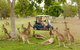 Small-Group Wildlife And Rainforest Tour From Port Douglas - thumb 0