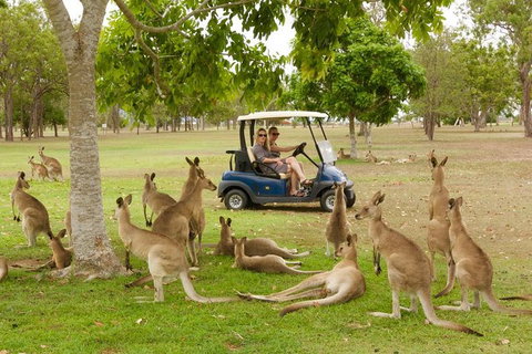 Small-Group Wildlife And Rainforest Tour From Port Douglas - New South Wales Tourism  0