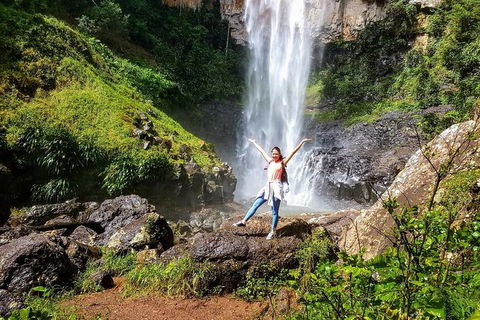 Springbrook Full Day Tour - New South Wales Tourism  10