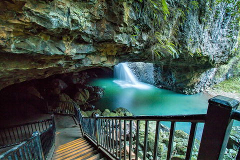 Springbrook Full Day Tour - New South Wales Tourism  12