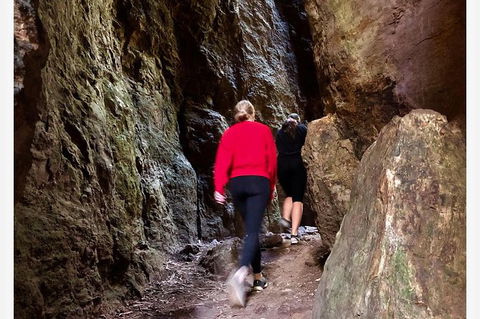 Springbrook Full Day Tour - New South Wales Tourism  7