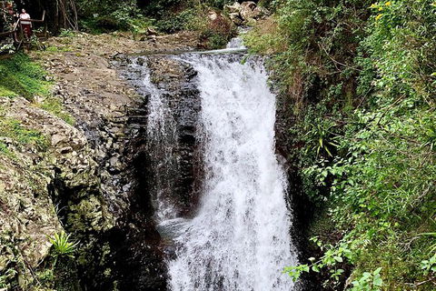 Springbrook Full Day Tour - New South Wales Tourism  4