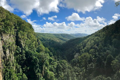 Springbrook Full Day Tour - New South Wales Tourism  3