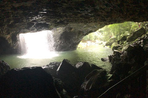Springbrook Full Day Tour - New South Wales Tourism  9