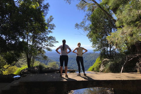 Springbrook Full Day Tour - New South Wales Tourism  15