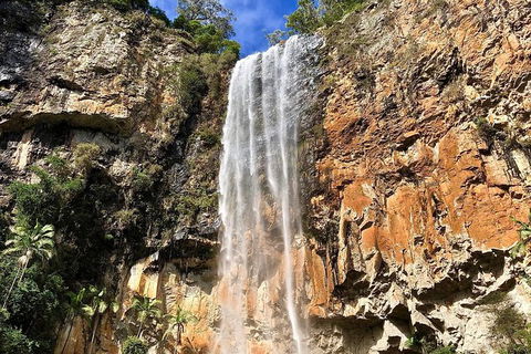 Springbrook Full Day Tour - New South Wales Tourism  14