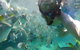 2-Day Moreton Island 4WD Camping Tour From Brisbane - thumb 3