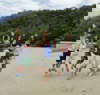 Private Daintree Wanderer Tour - New South Wales Tourism 