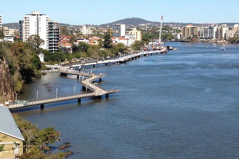Brisbane City Highlights With Lone Pine! - New South Wales Tourism  4