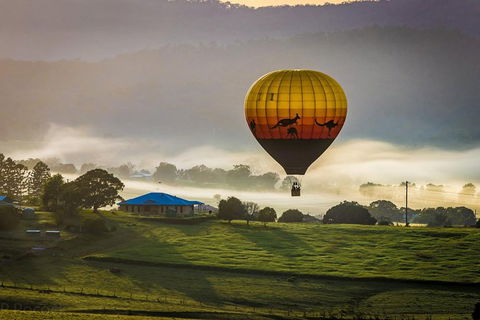 Greater Brisbane Hot Air Balloon Flights - City & Country Views - 1 Hour Flight! - New South Wales Tourism  3