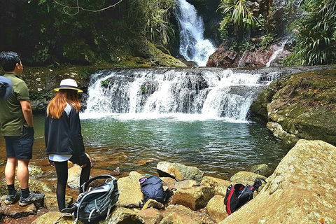 Lamington Day Tour - New South Wales Tourism  0
