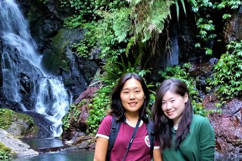 Lamington Day Tour - New South Wales Tourism  11