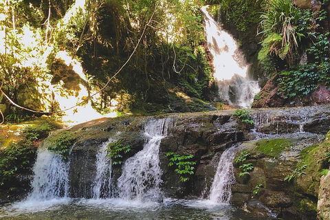 Lamington Day Tour - New South Wales Tourism  7