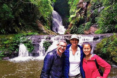Lamington Day Tour - New South Wales Tourism  6