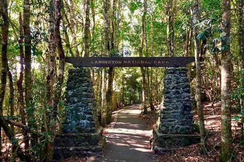 Lamington Day Tour - New South Wales Tourism  4