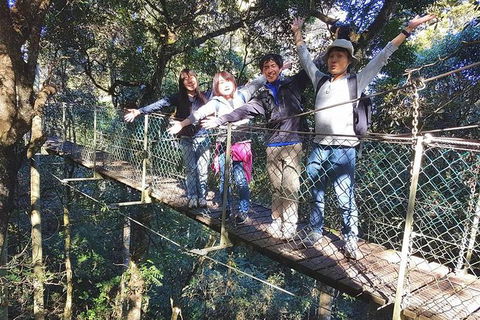 Lamington Day Tour - New South Wales Tourism  9